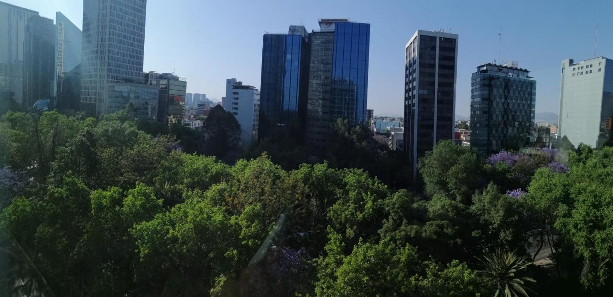 Quarto King Standard com Vista da Cidade