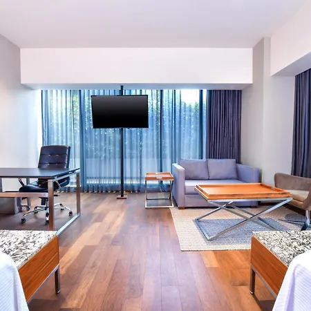 Krystal Grand Suites Insurgentes-2