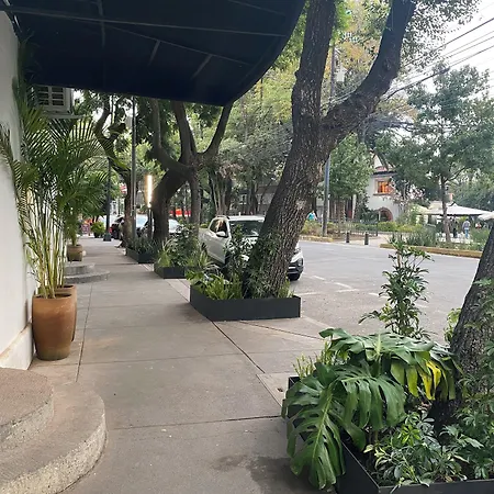 Casa Corp Boutique Suites In Condesa-3